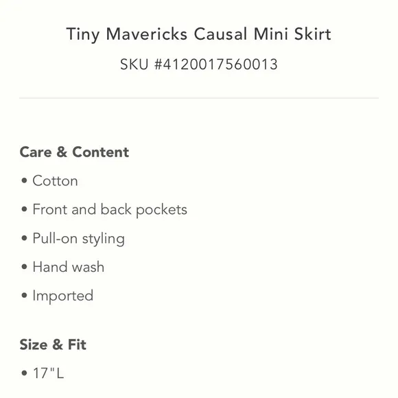 ✨ Anthropologie Mavericks Mini Skirt Sz XLP
