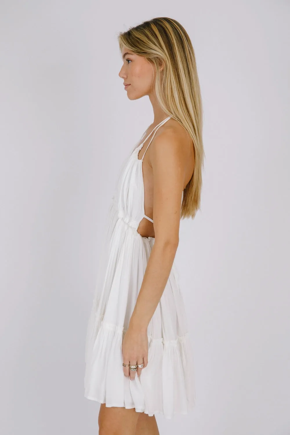 Aribella Dress
