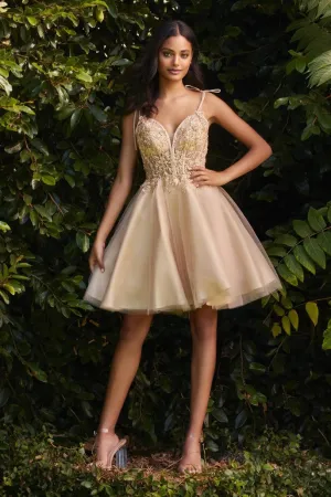 Cinderella Evening Dress CD0188