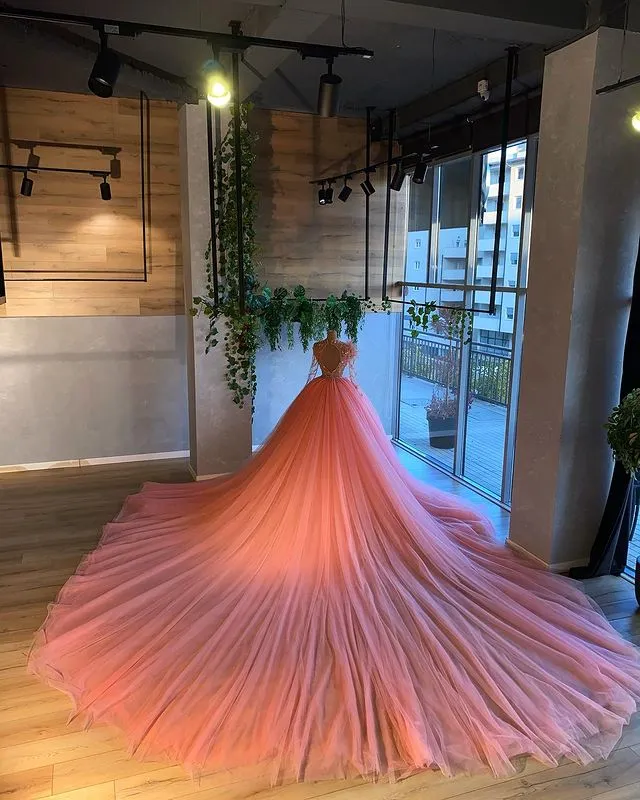 Coral Wedding Dresses Ball Gown Tulle Skirts Full Sleeve High Neck Beaded Colorful Bridal Wedding Gowns 8031815