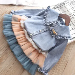 Denim Blouse & Mesh Pleated Skirt Outfit