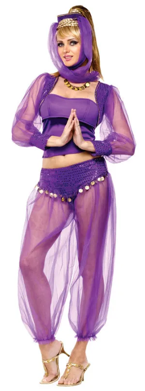 Dreamy Genie Adult Small/Medium 2-8  Costume