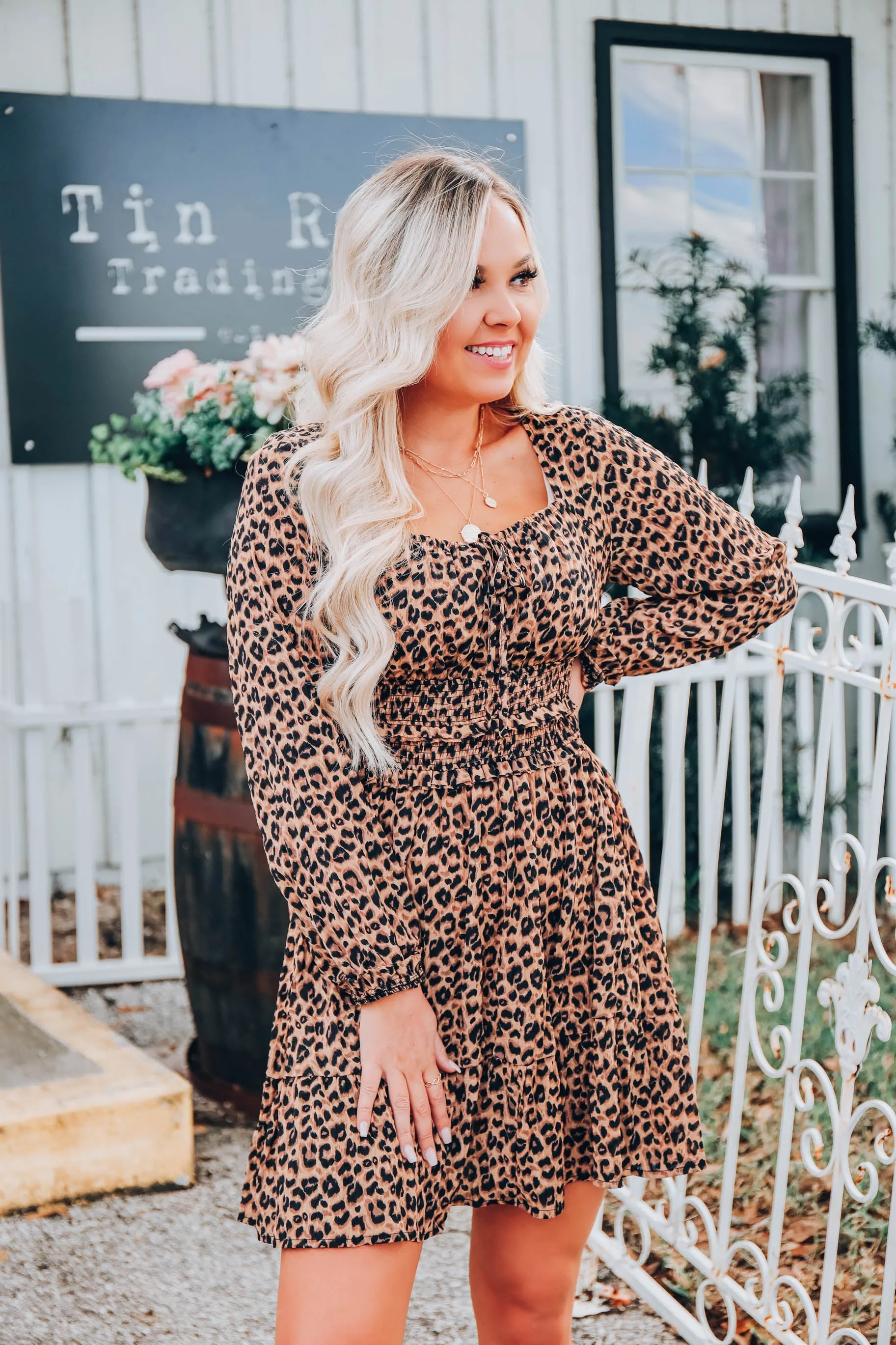 Empire Silhouette Leopard Dress S-3X
