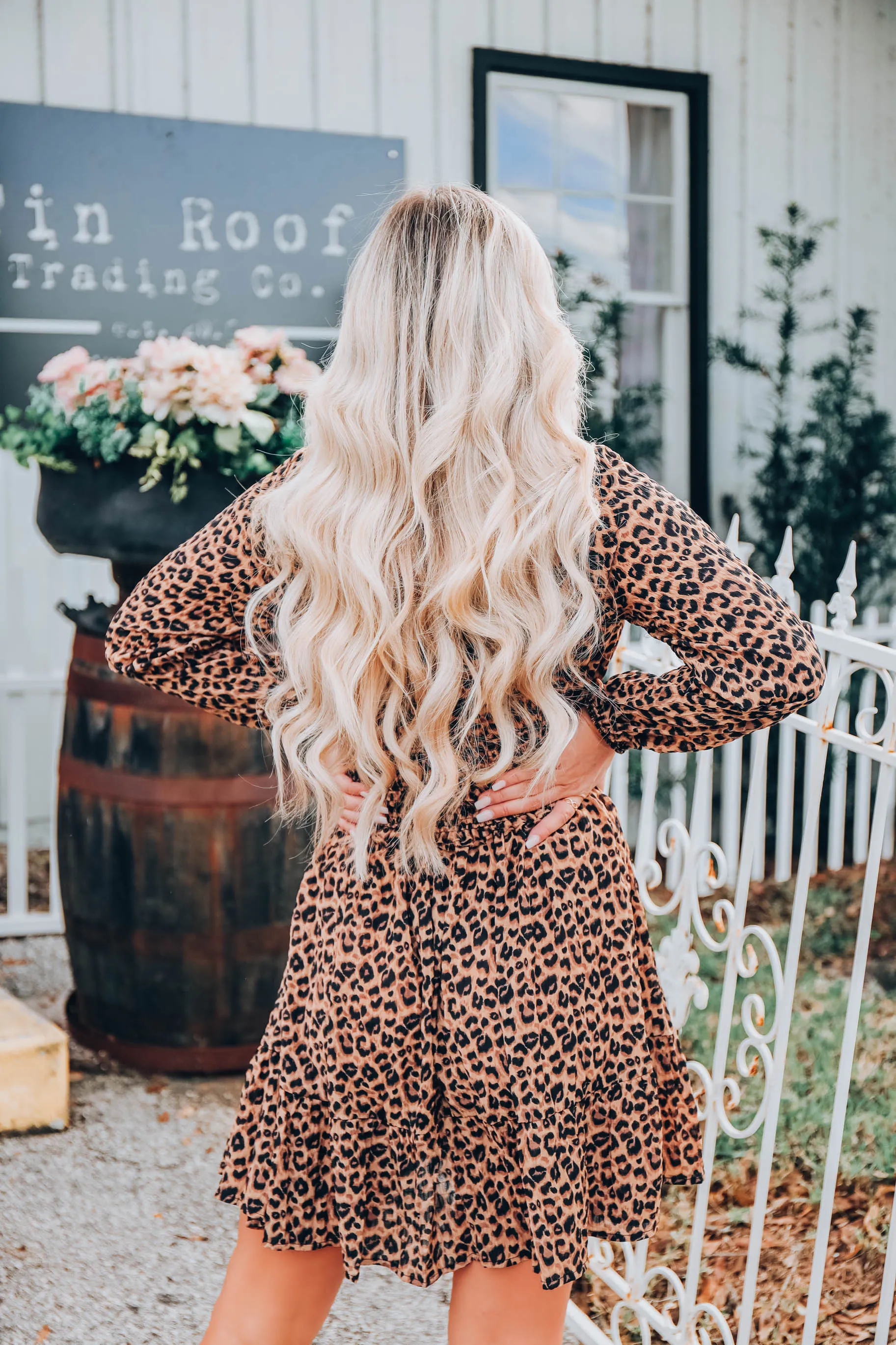 Empire Silhouette Leopard Dress S-3X