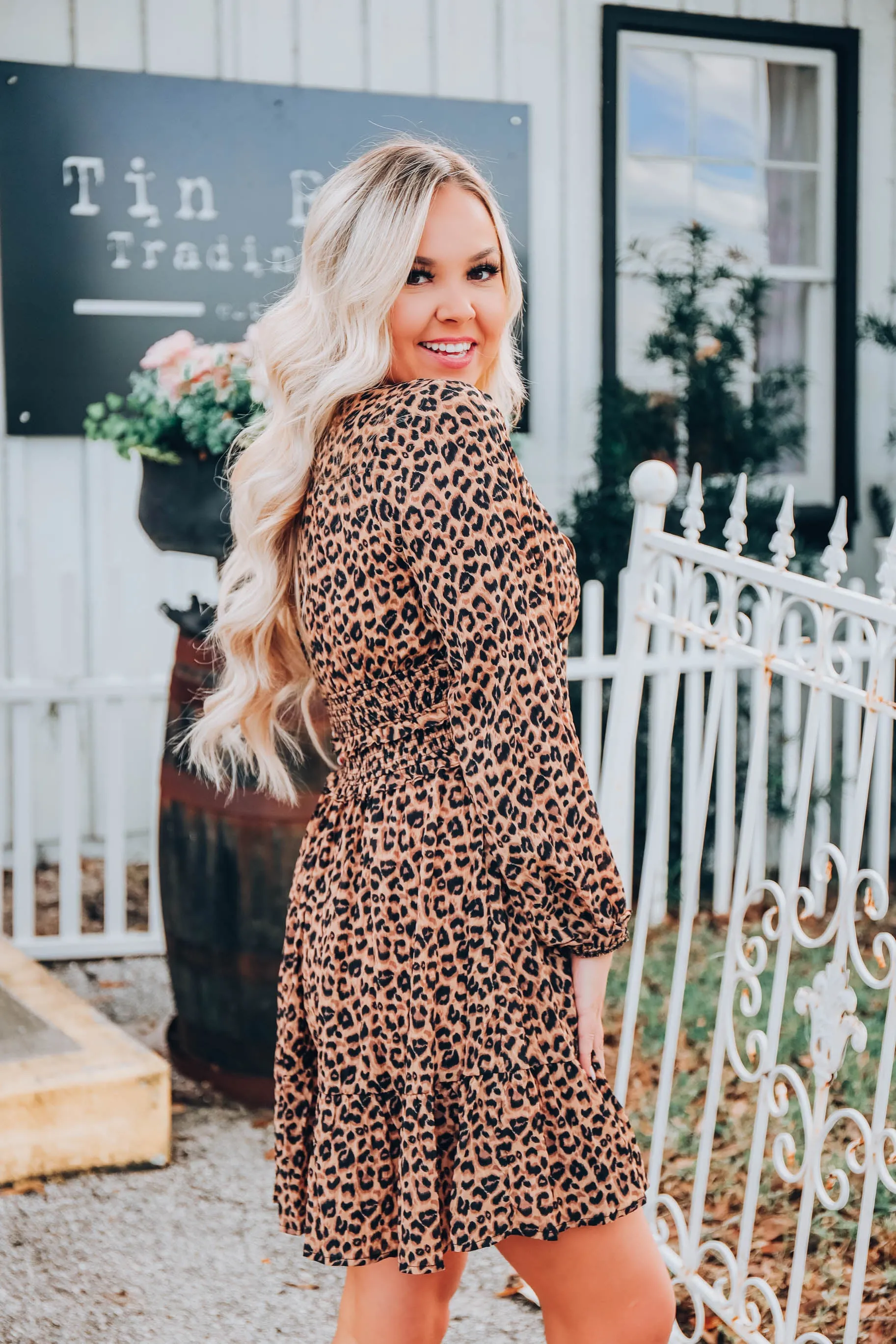 Empire Silhouette Leopard Dress S-3X