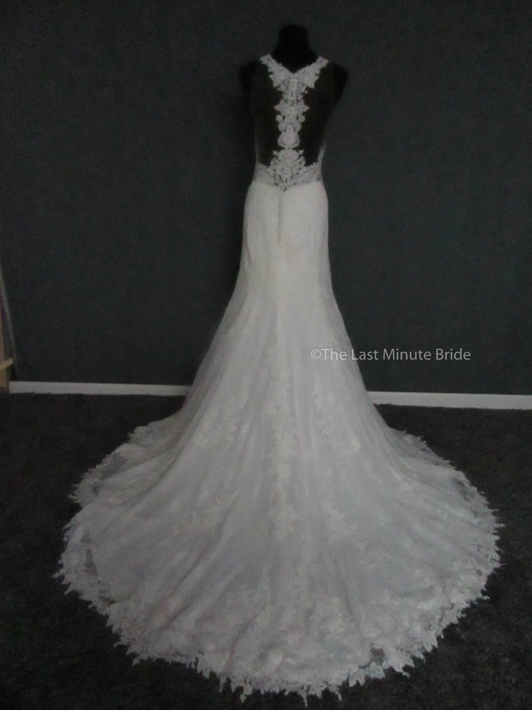 Essense of Australia D2342