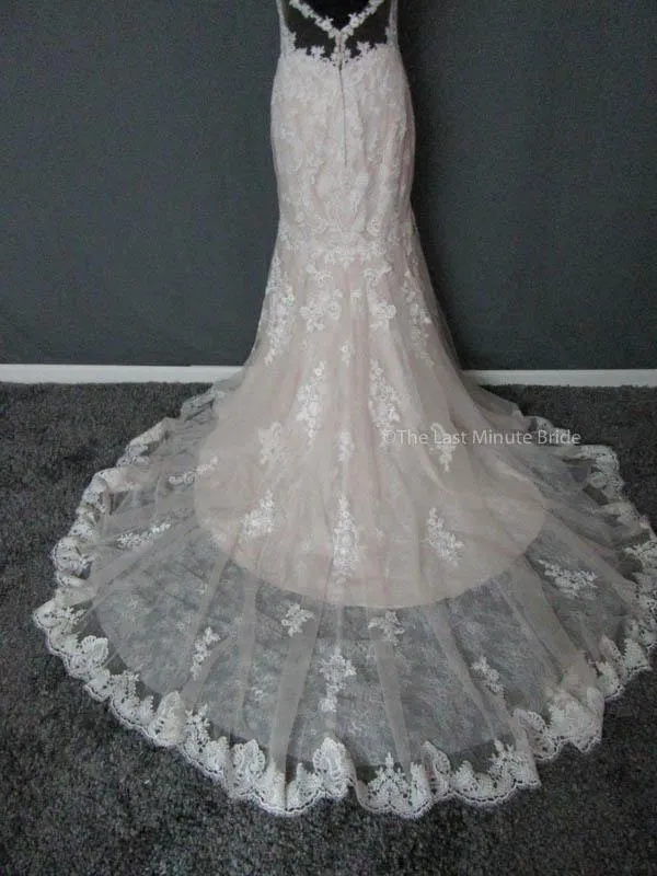 Essense of Australia D2387