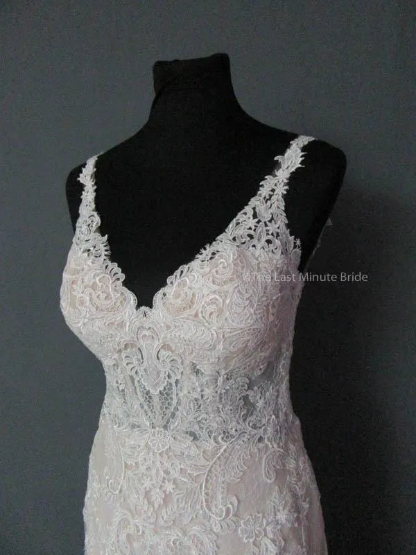 Essense of Australia D2387