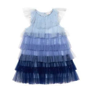 Josette Tulle Dress