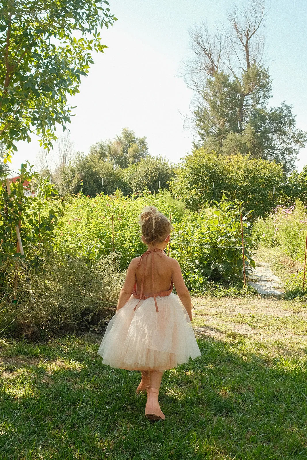 RAE KIDS: Tan/Pink Halter Tulle Dress
