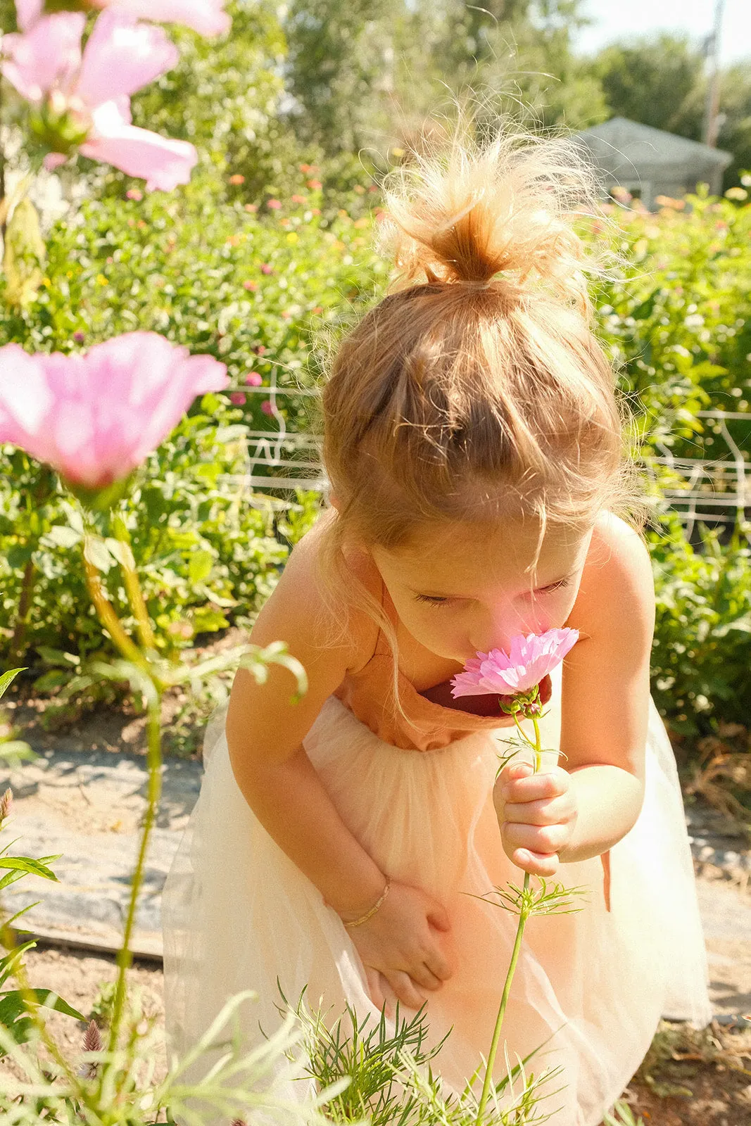 RAE KIDS: Tan/Pink Halter Tulle Dress