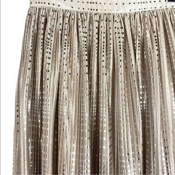 Sabina Musayev Sparkle Pleated Skirt