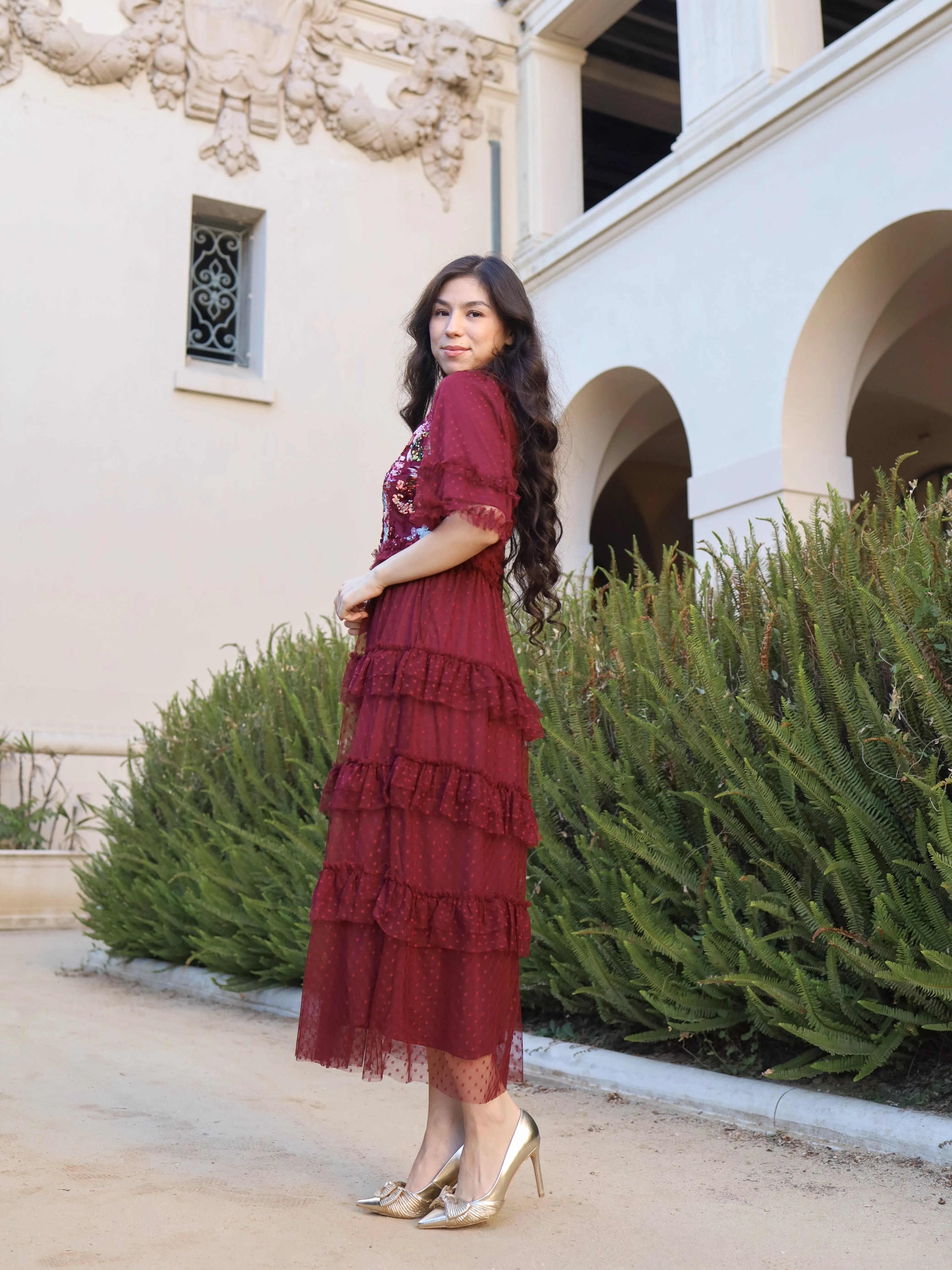 Scarlet Sparkle Dress