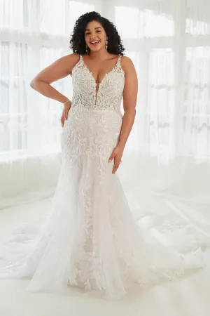Sophia Tolli: Y3109HB - Jackson