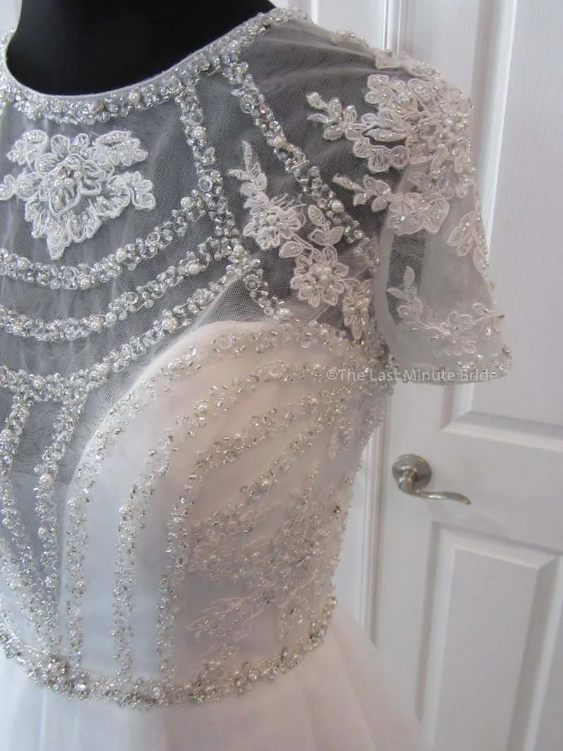 The Last Minute Bride Amelia