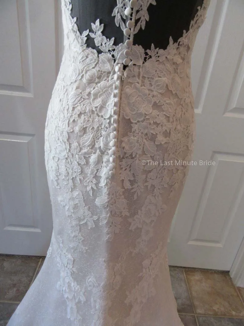 The Last Minute Bride Demi (In Stock Sizes)