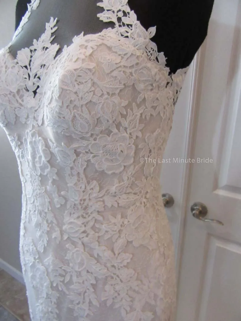 The Last Minute Bride Demi (In Stock Sizes)