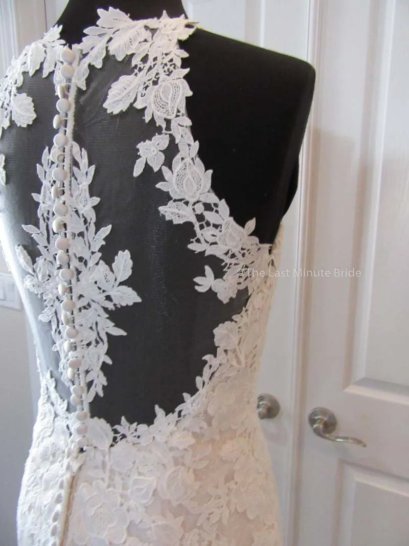 The Last Minute Bride Demi (In Stock Sizes)