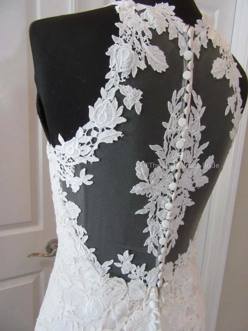 The Last Minute Bride Demi (In Stock Sizes)